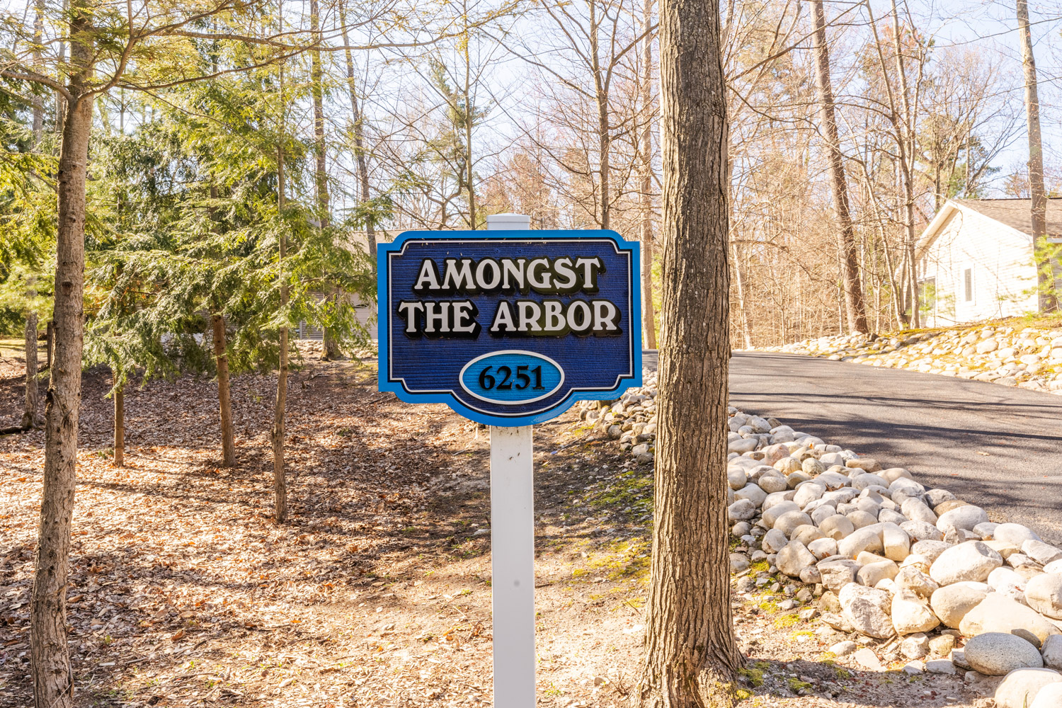 Amongst the Arbor - 24